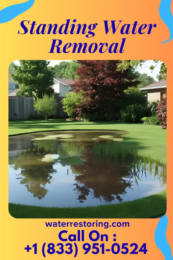 Standing Water Removal in Winfield, KS